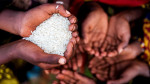 सुडानमा भोकमरीको सङ्कट थप बढ्ने विश्व खाद्य कार्यक्रमको चेतावनी