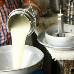 धुलो दूधको माग घटेपछि ‘डेरी’ सञ्चालनमा समस्या