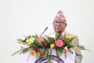 संविधान र गणतन्त्र विरोधी शक्तिले चलखेल शुरु गर्न थाले : अध्यक्ष नेपाल